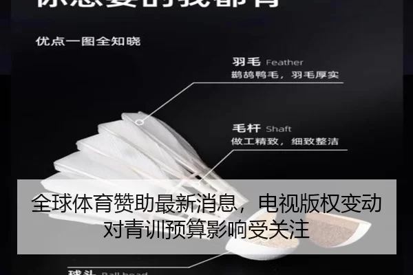 quan-qiu-ti-yu-zan-zhu-zui-xin-xiao-xi-dian-shi-ban-quan-bian-dong-dui-qing-xun-yu-suan-ying-xiang-shou-guan-zhu-2-338.jpg